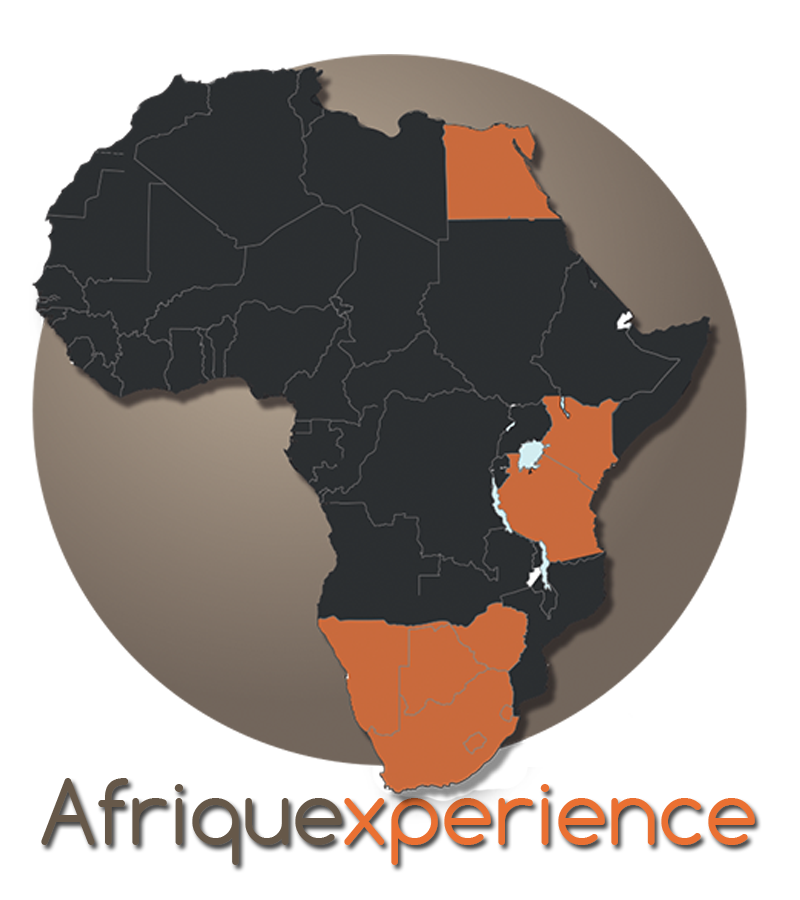Afriquexperience