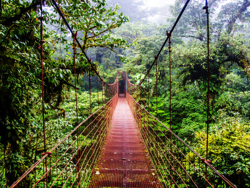Voyage sur mesure au Costa Rica