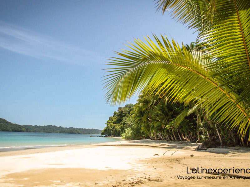 Voyage sur mesure au Panama