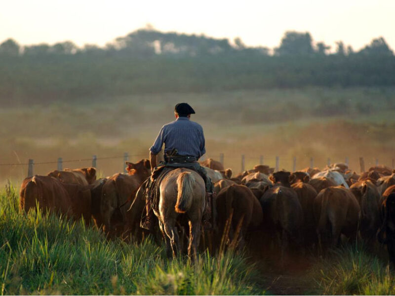 Voyage sur mesure en Uruguay