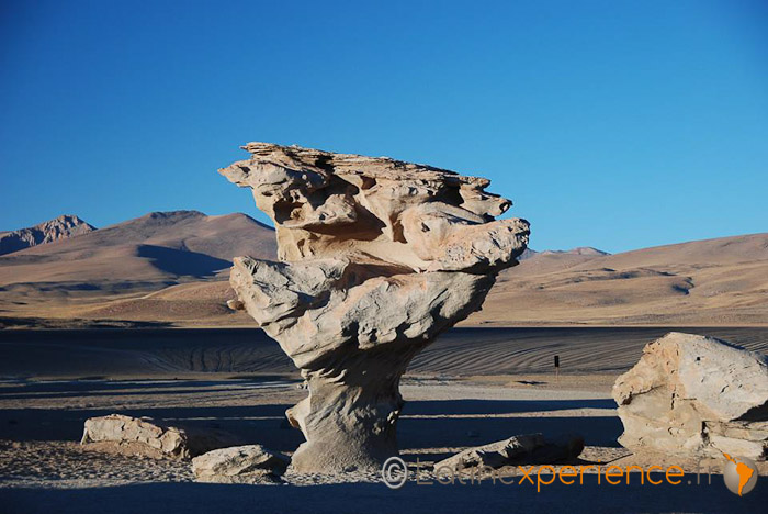 Bolivie - Sud lipez