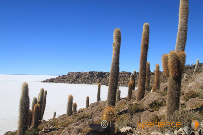 Bolivie - Salar de Uyuni