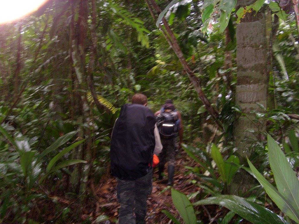 Amazonie