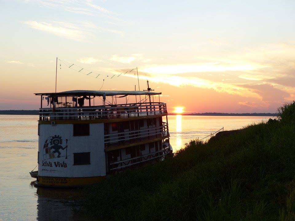 Amazonie