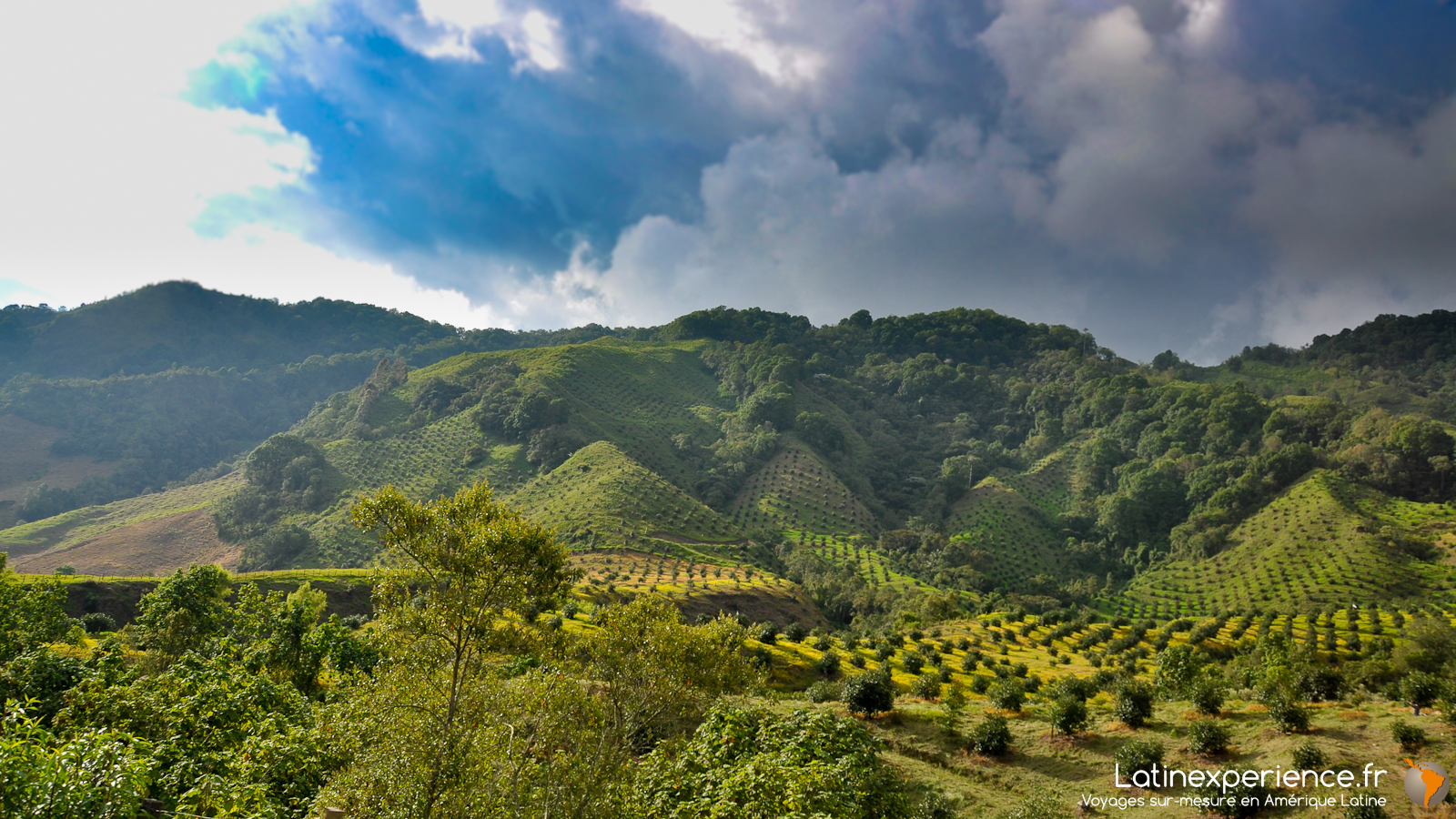 Colombie - Salento - Vallée de Cocora 2 - Latinexperience