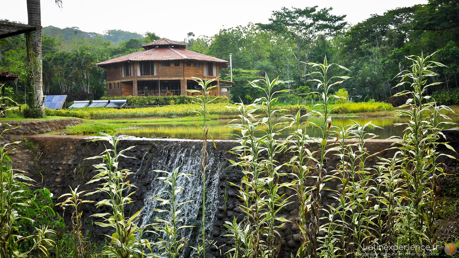 Costa Rica - Macaw Lodge écotourisme - Latinexperience voyages