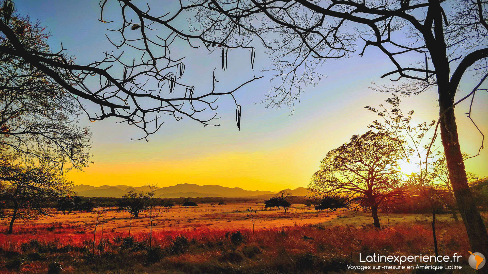 Costa Rica - Voyage de noces - prairies du Tempisque