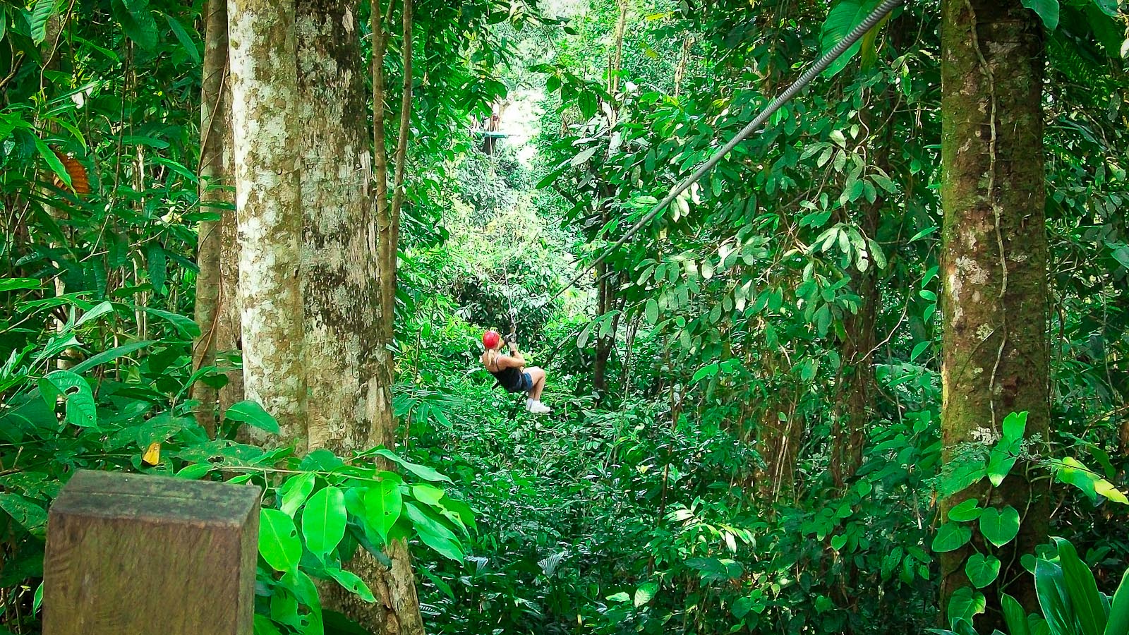 Costa Rica - activité zipline - CC0 pixabay - Latinexperience voyages.jpg