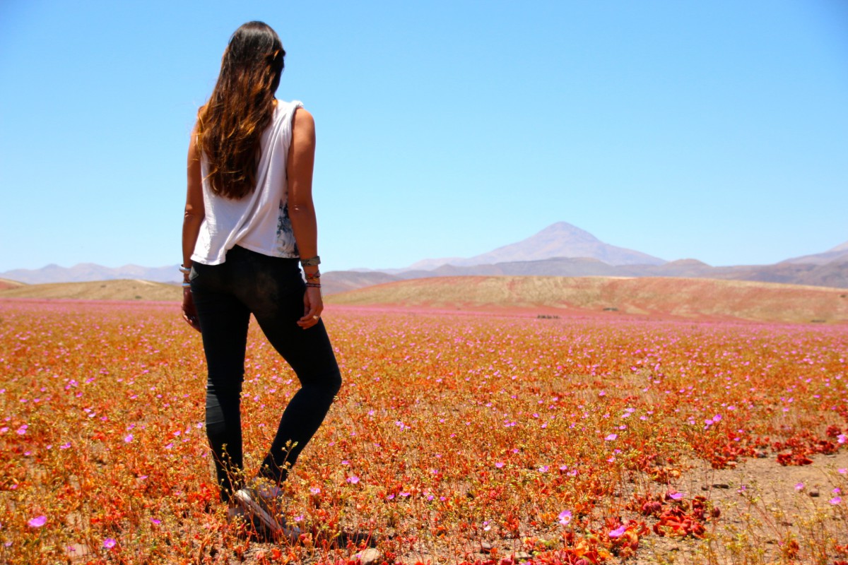 Désert Atacama