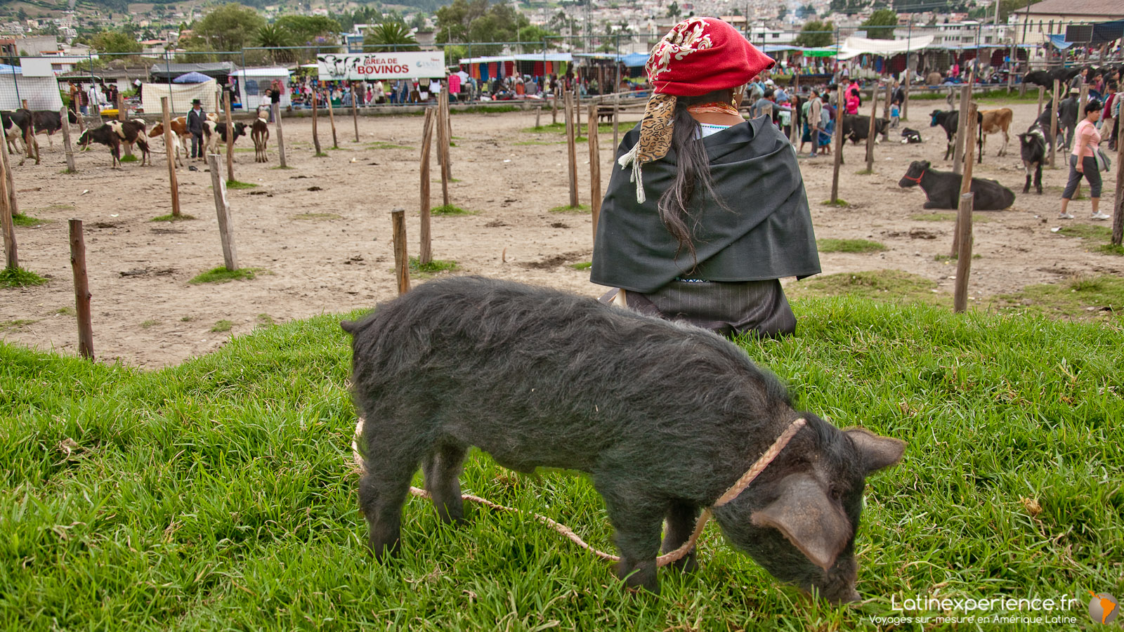 Equateur - Marché Otavalo - Latinexperience voyages