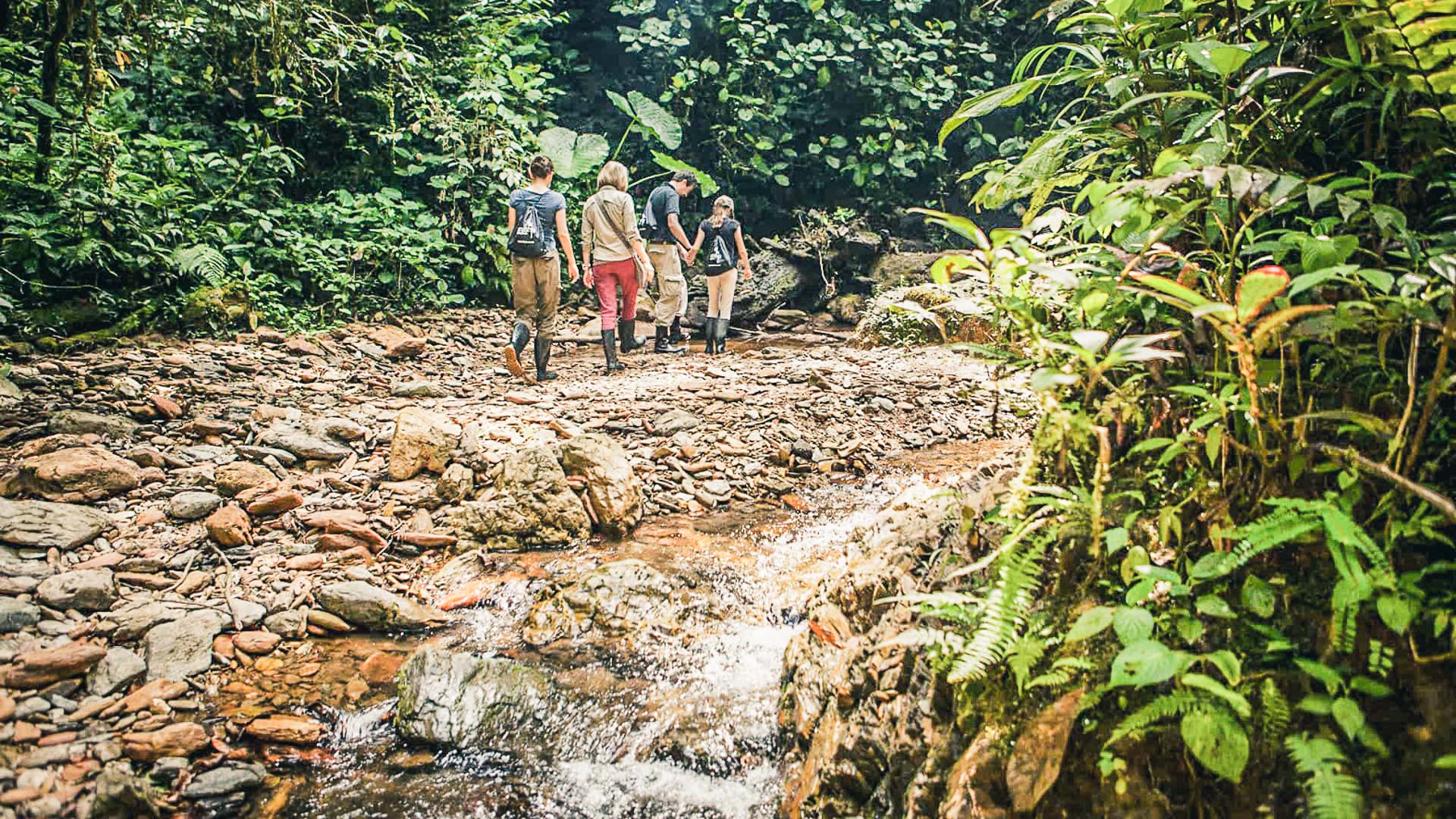 Equateur - Mashpi Eco Lodge