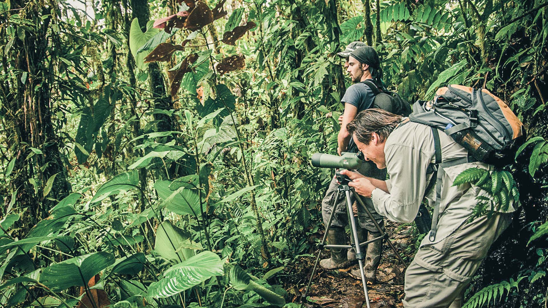 Equateur - Mashpi Eco Lodge