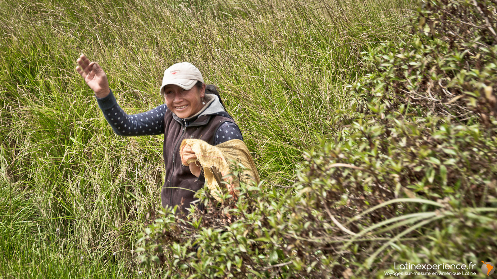 Equateur - Voyage en train -Tren Crucero - Latinexperience voyages