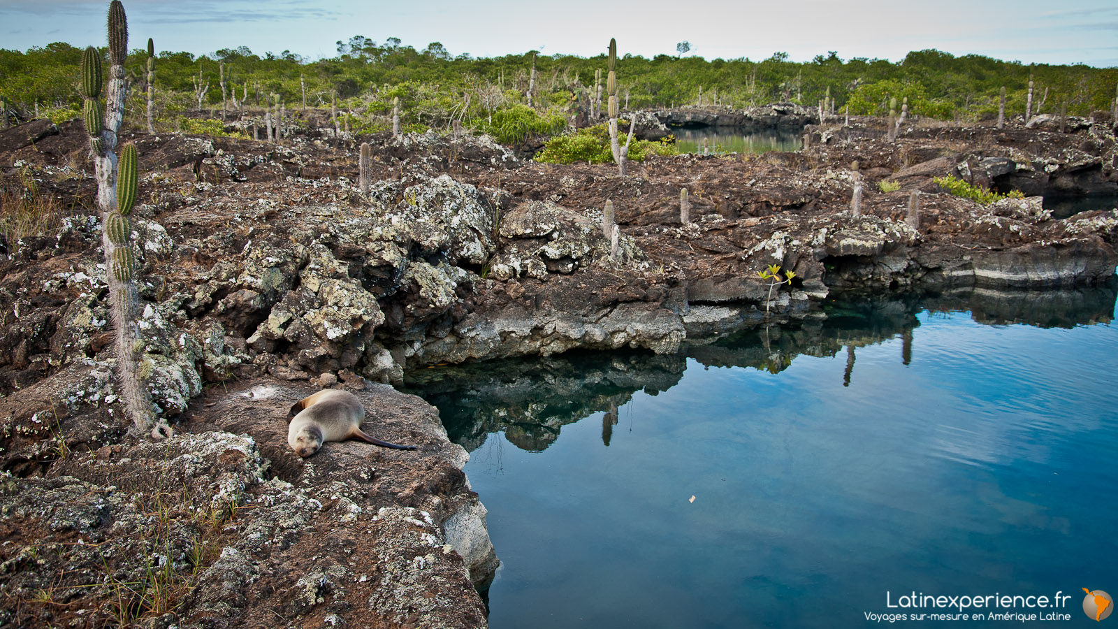 Galapagos - Los Tuneles - Latinexperience voyages