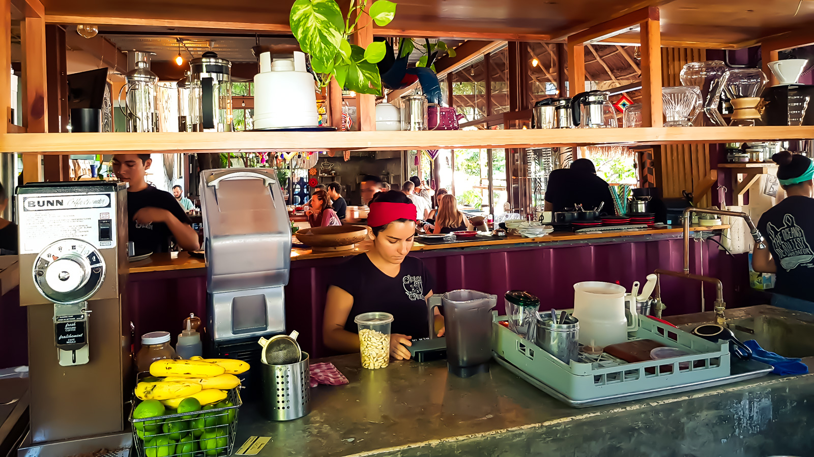 Mexique - Playa Del Carmen - Le Choucou - Latinexperience voyag