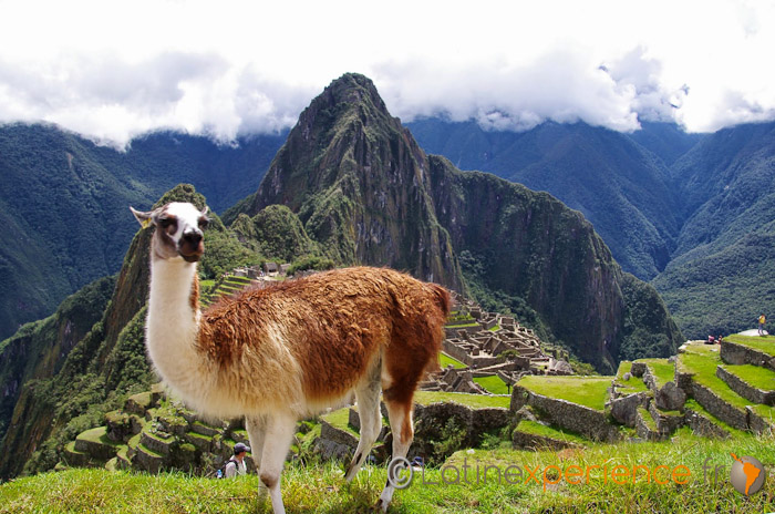 Machu Pichu