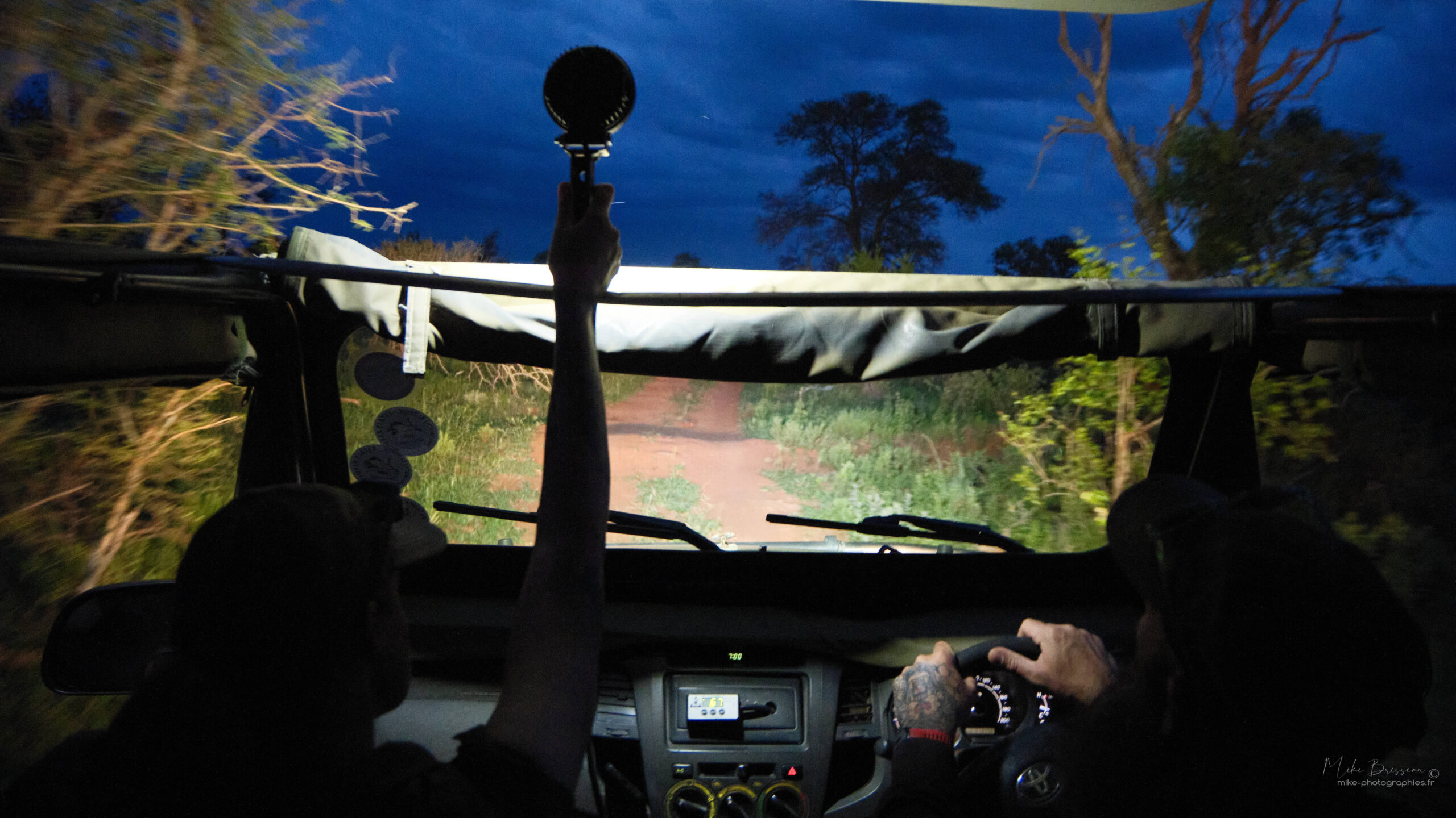 Voyage Afrique du Sud-Safari nocturne-Latinexperience voyages