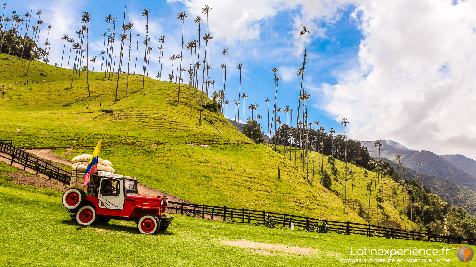 Colombie - Vallée de Cocora - Latinexperience voyages