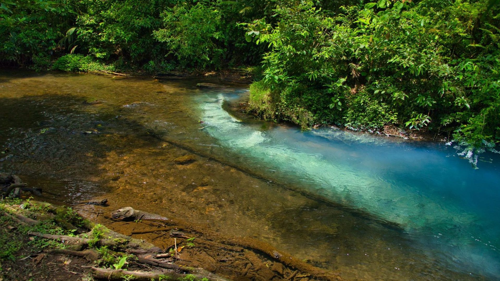costa rica en famille