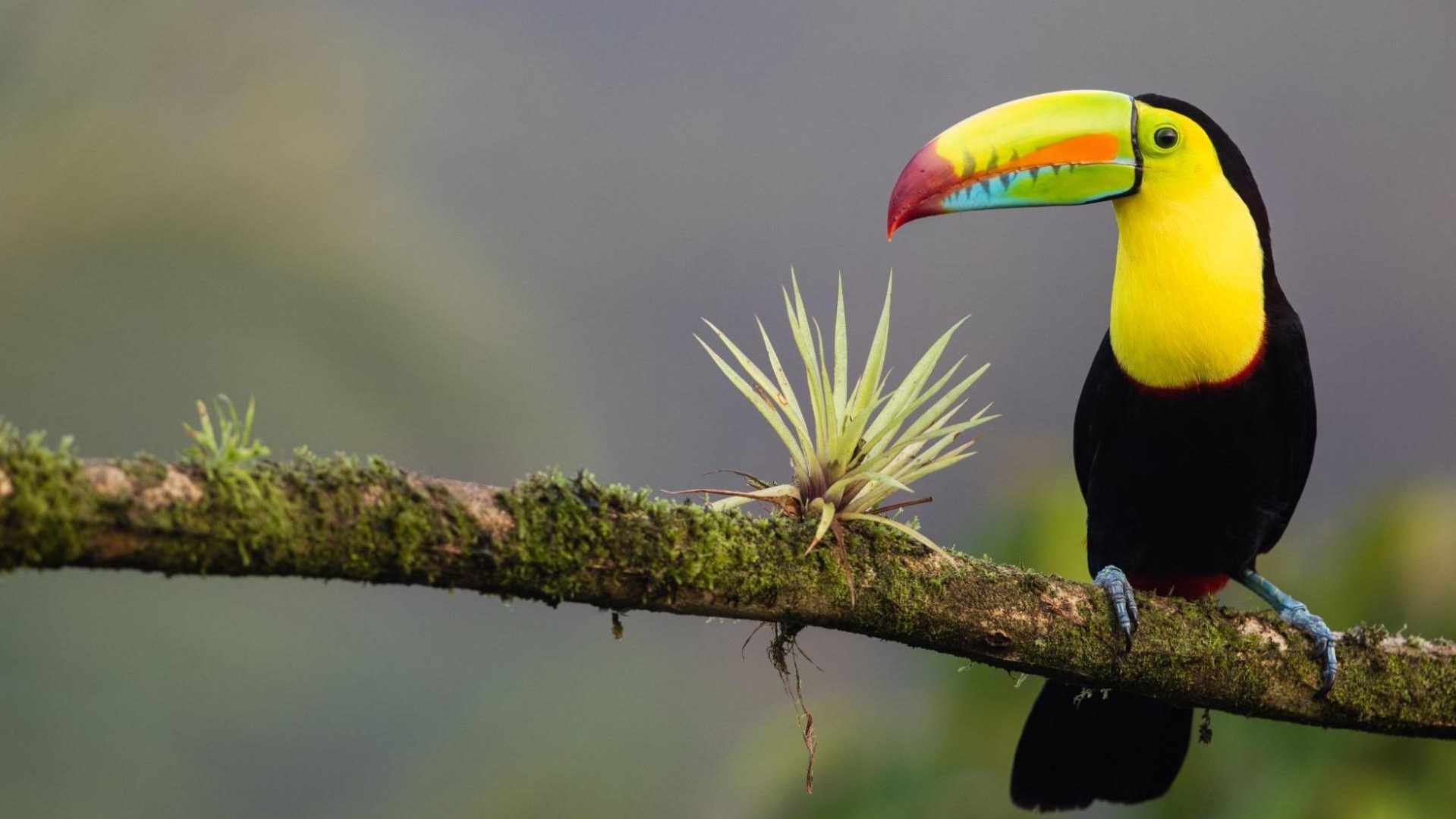 costa rica en famille