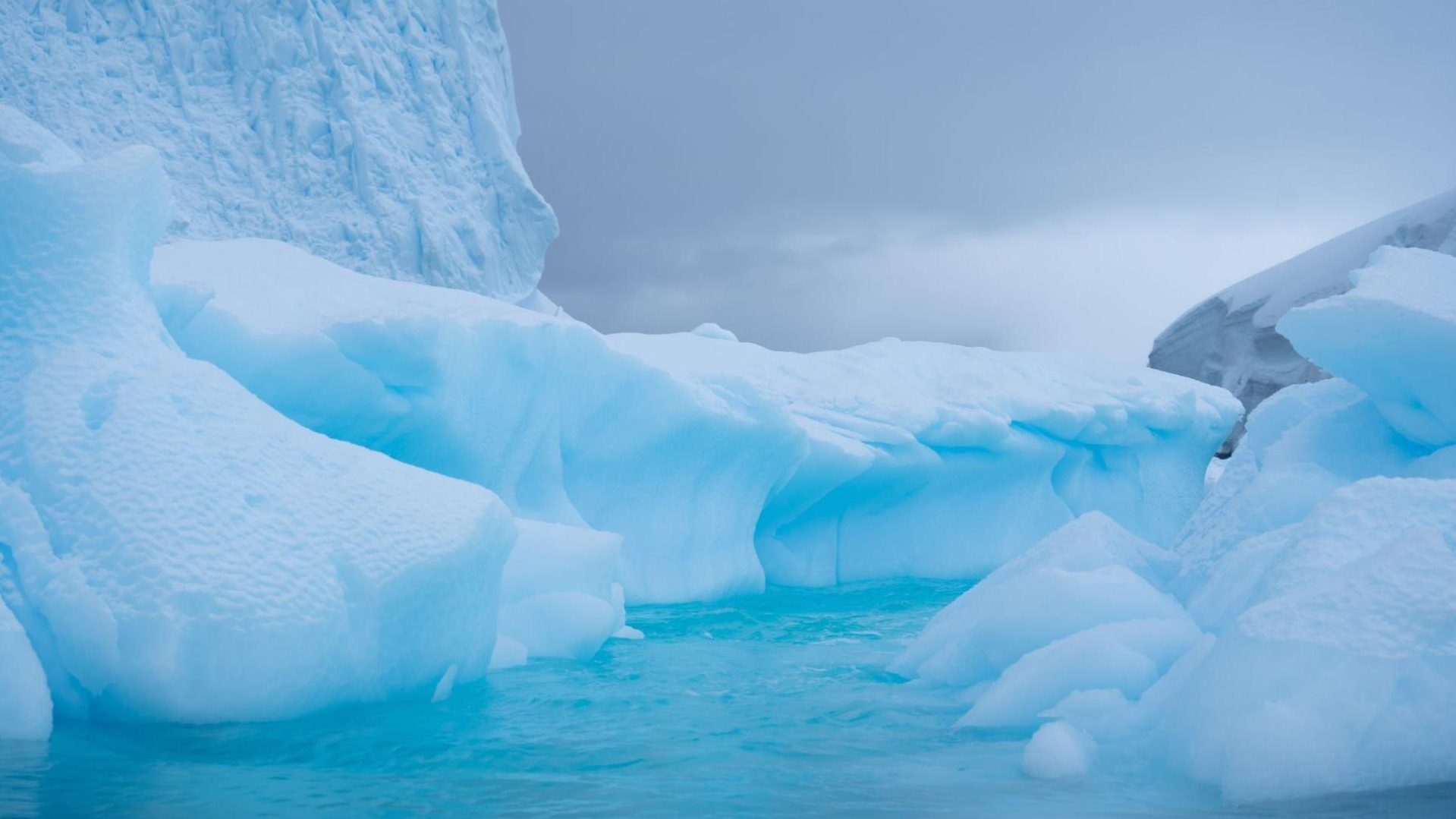 que faire en antarctique
