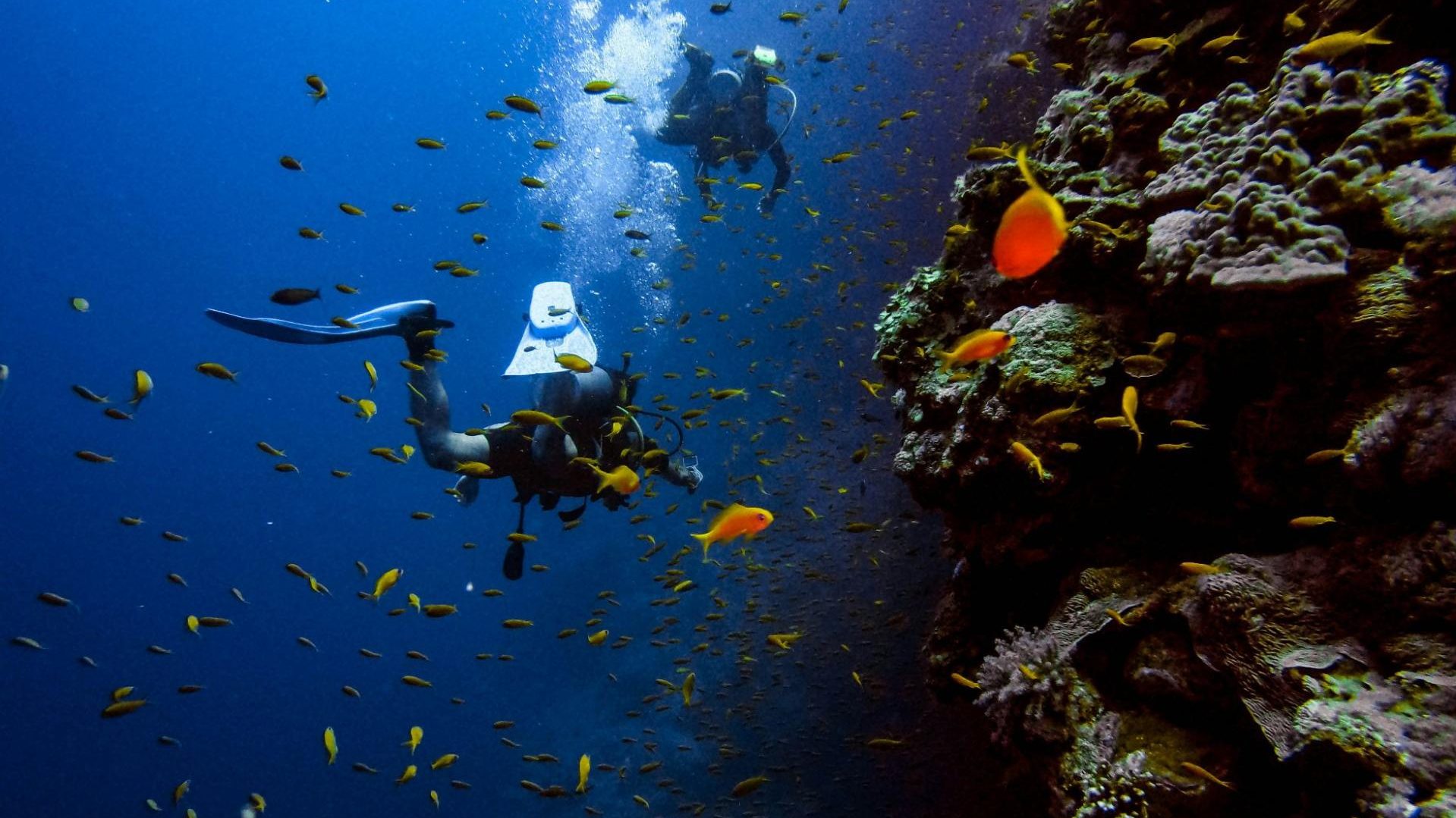 plages du honduras