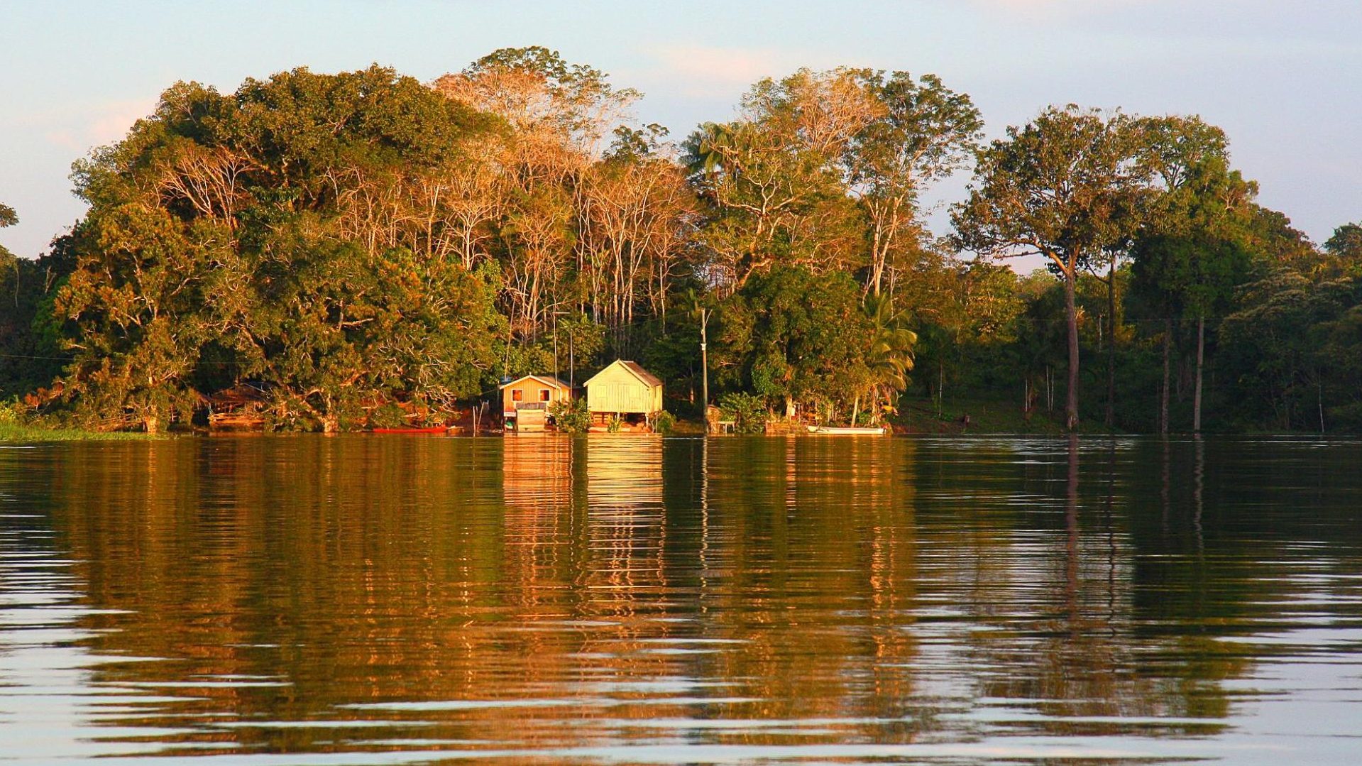 que faire en amazonie