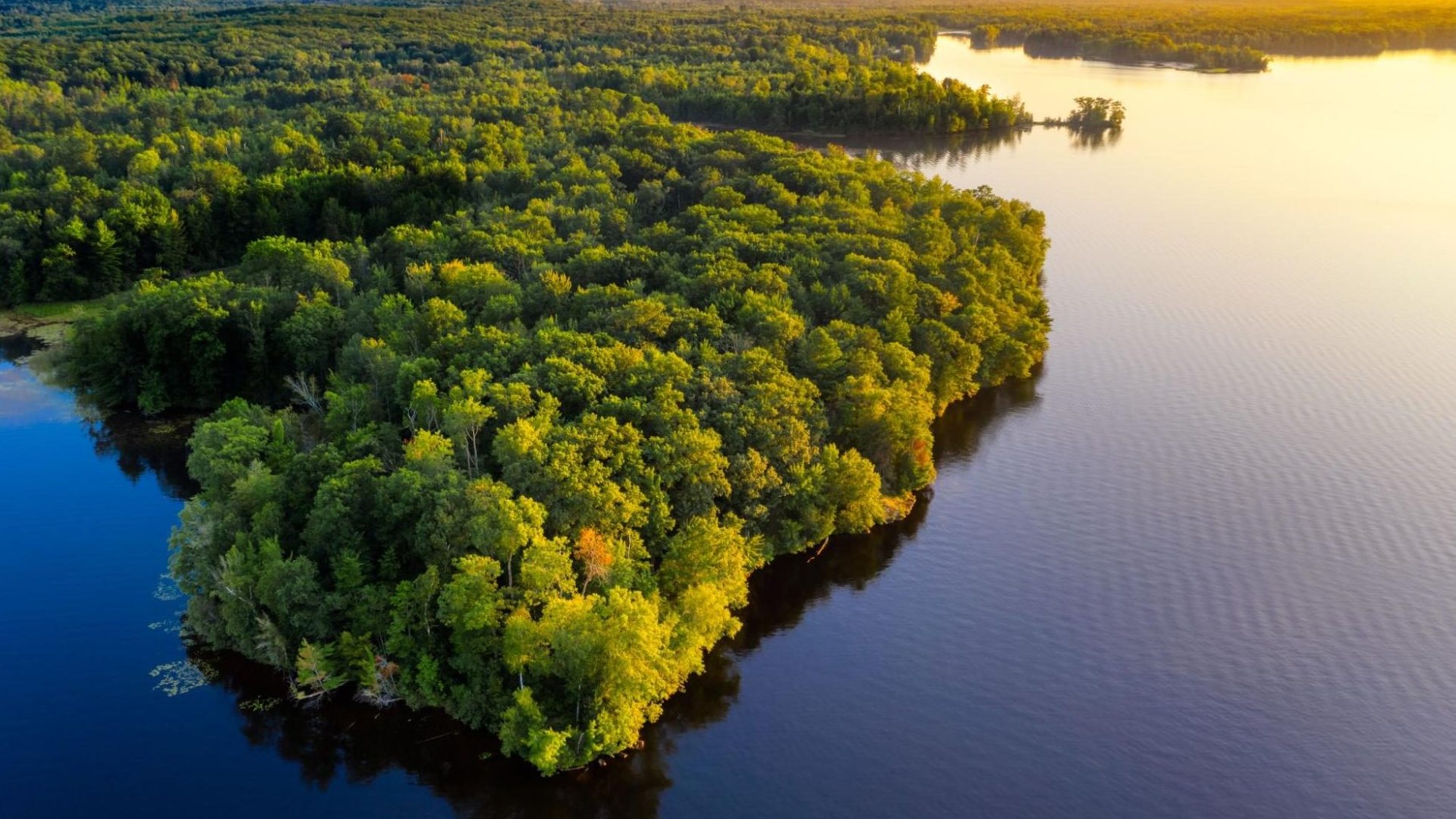 que faire en amazonie