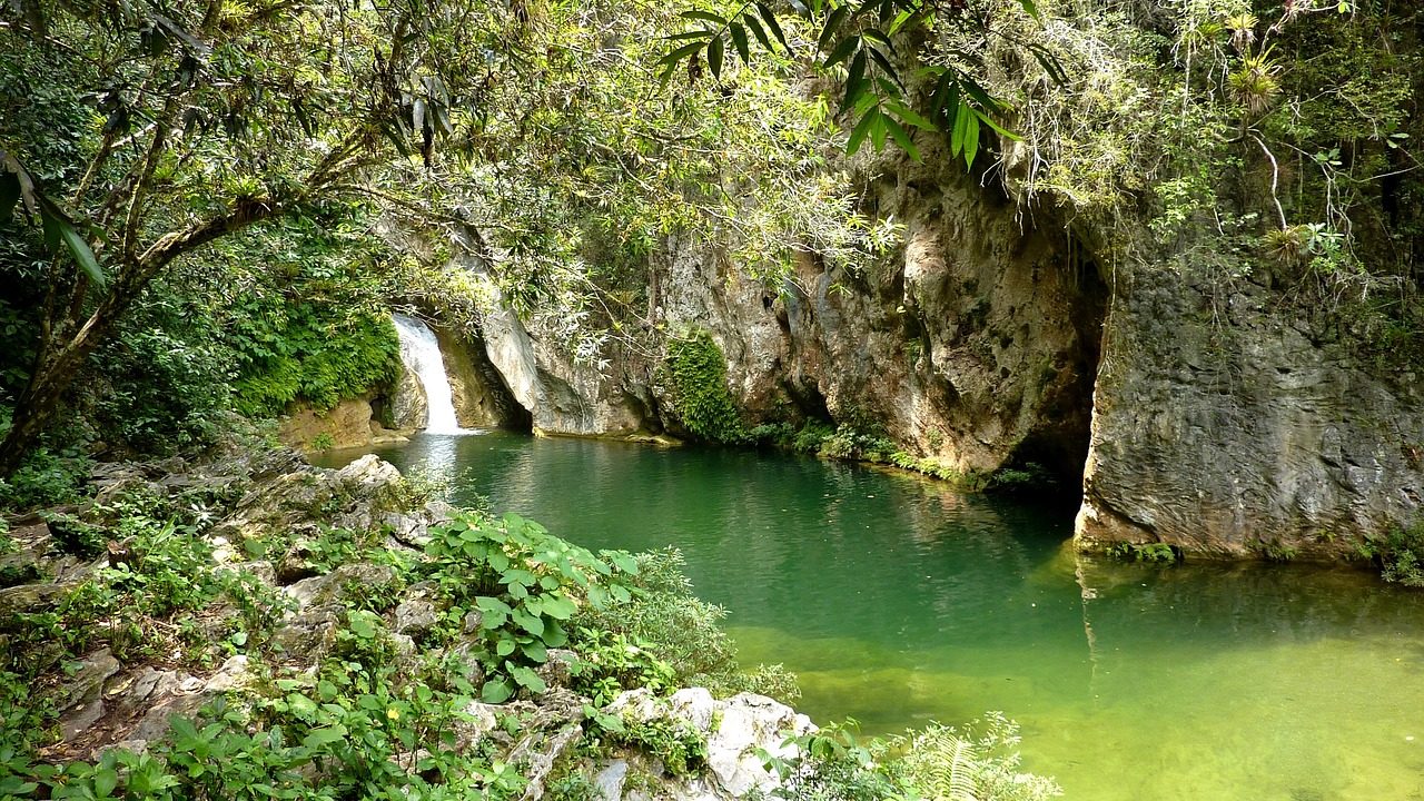 Excursion à Cuba
