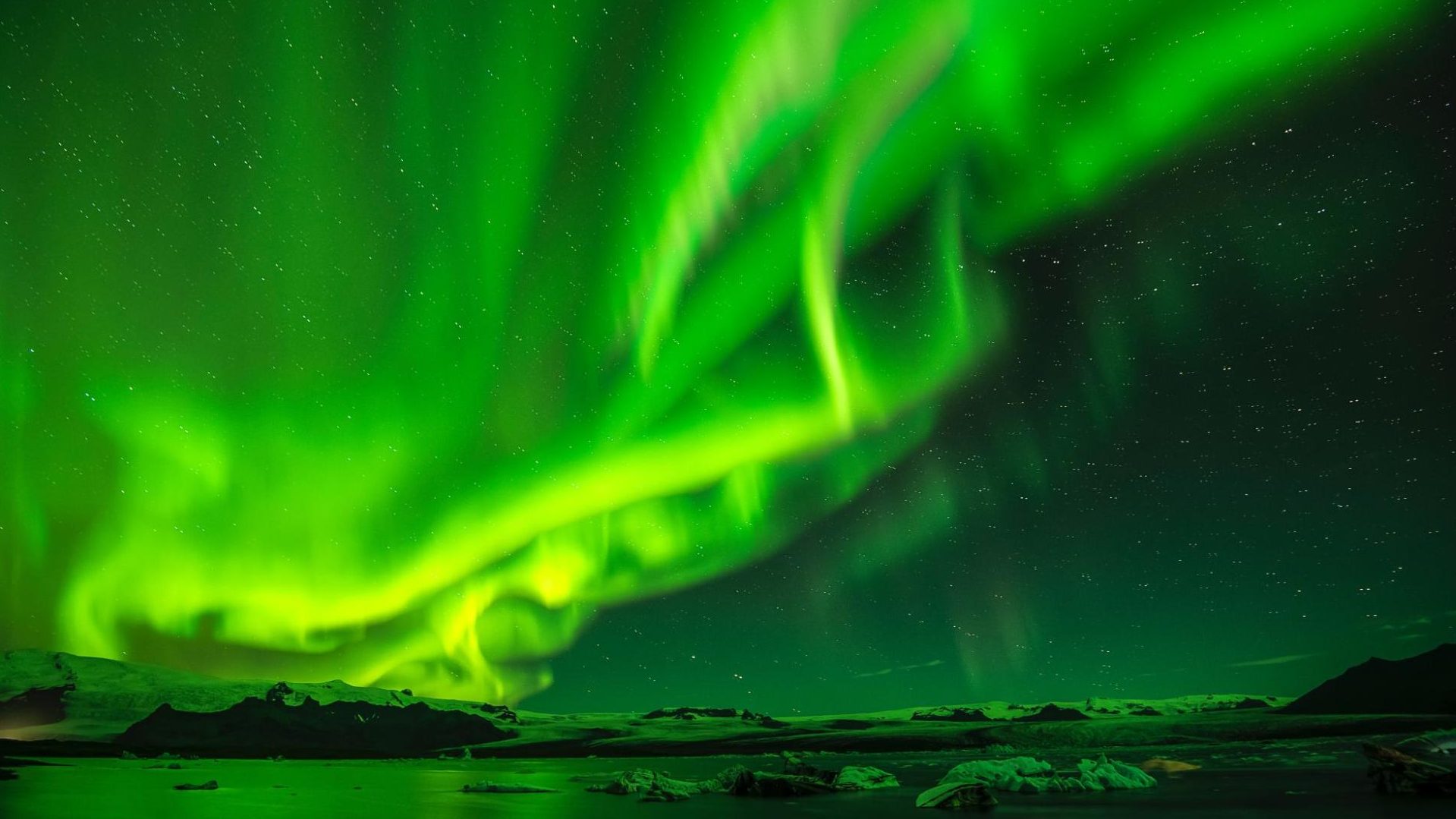que faire en antarctique