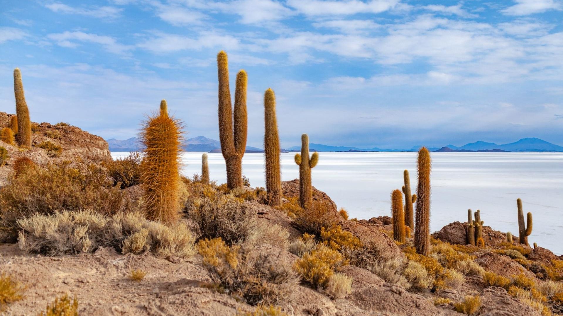 Trek en Bolivie