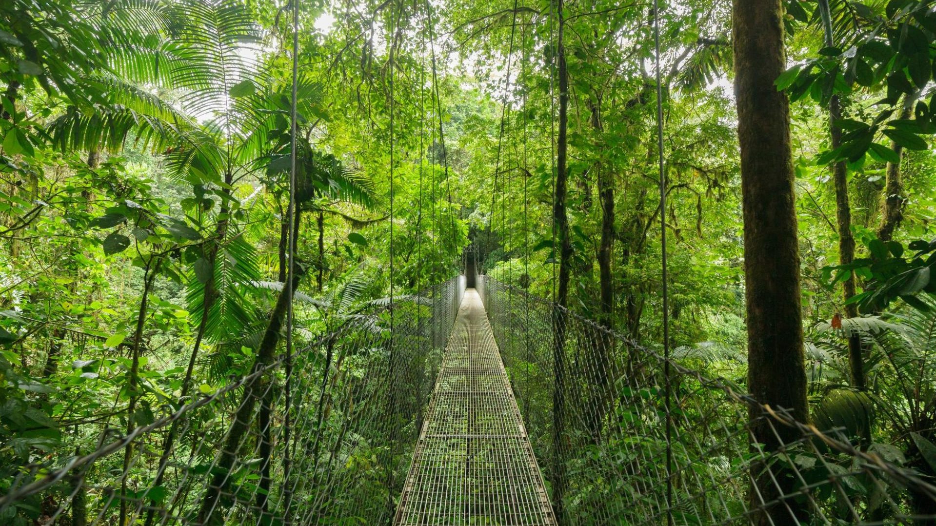 Itinéraire au Costa Rica