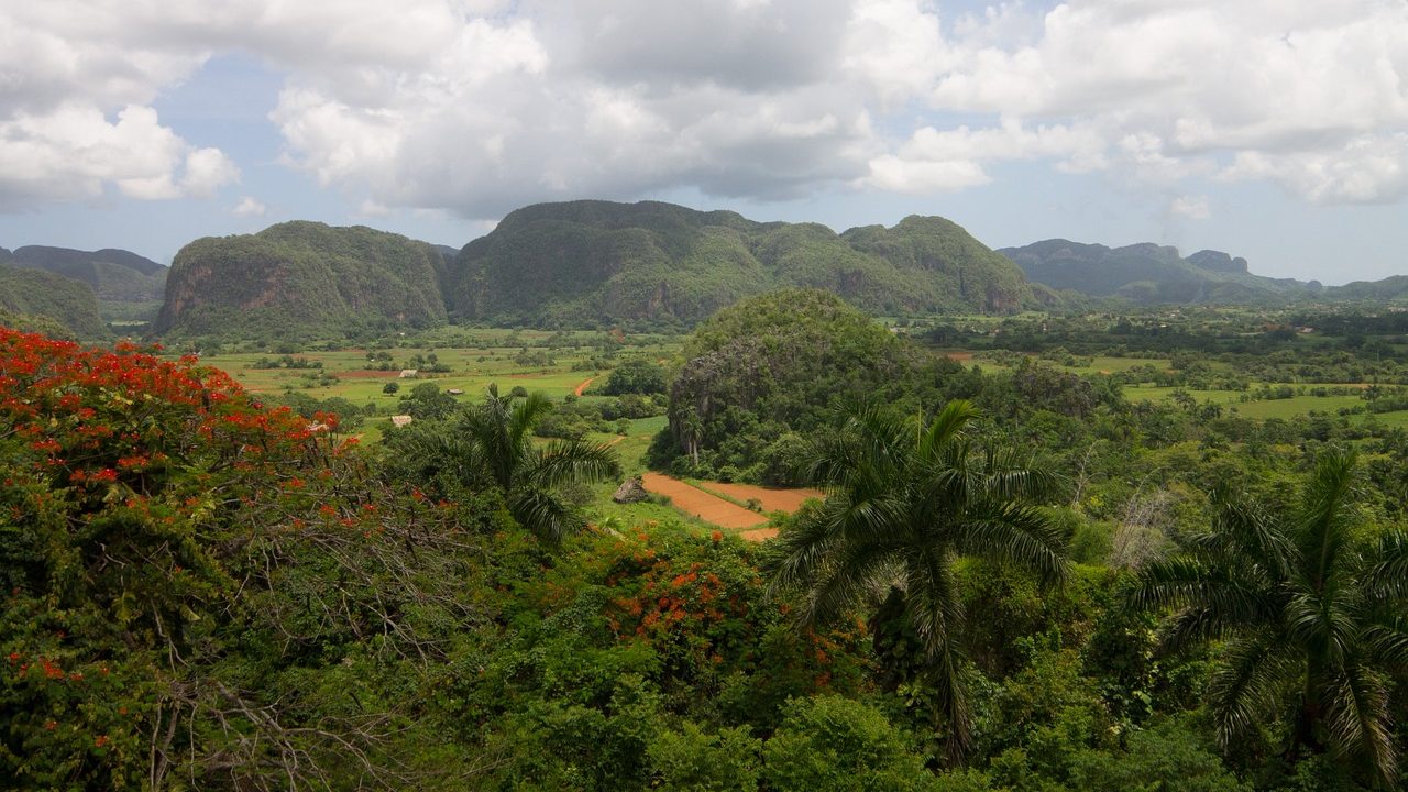 Excursion à Cuba