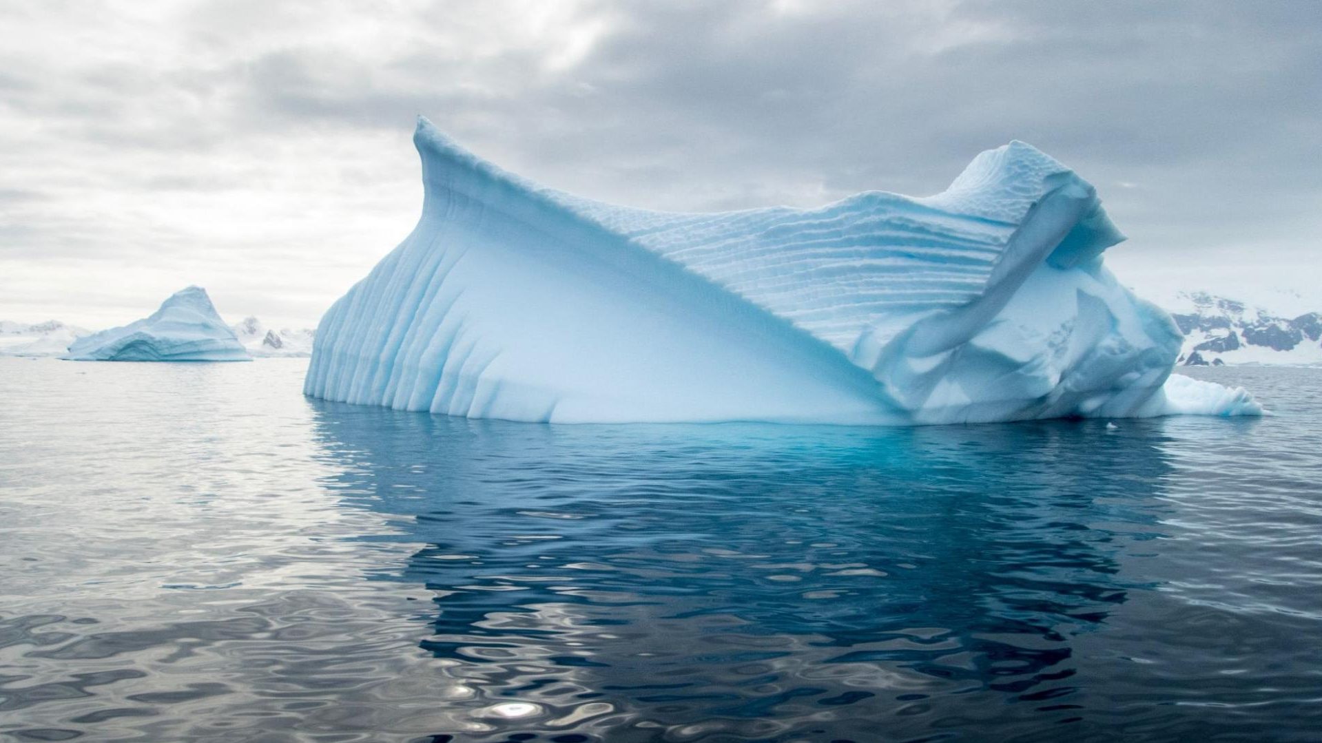 que faire en antarctique
