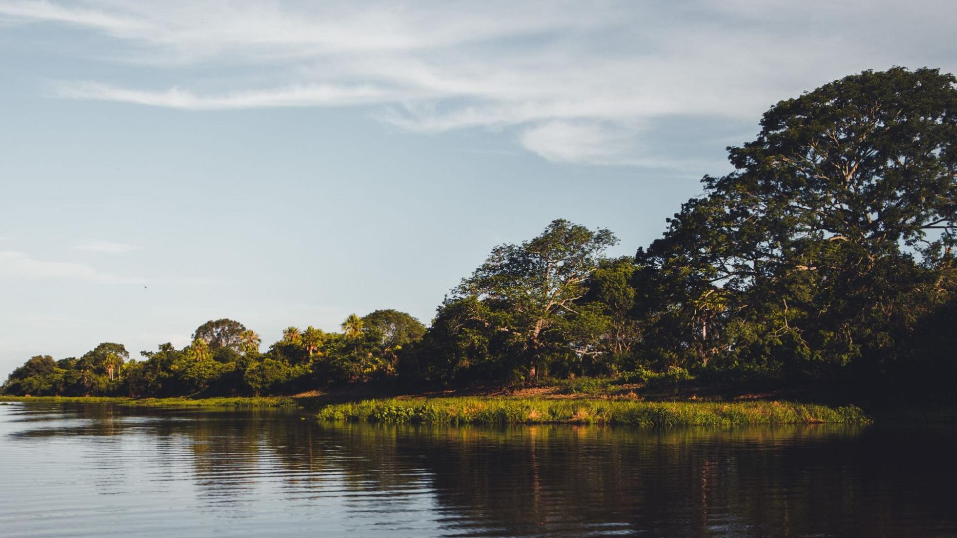 Pantanal brésilien
