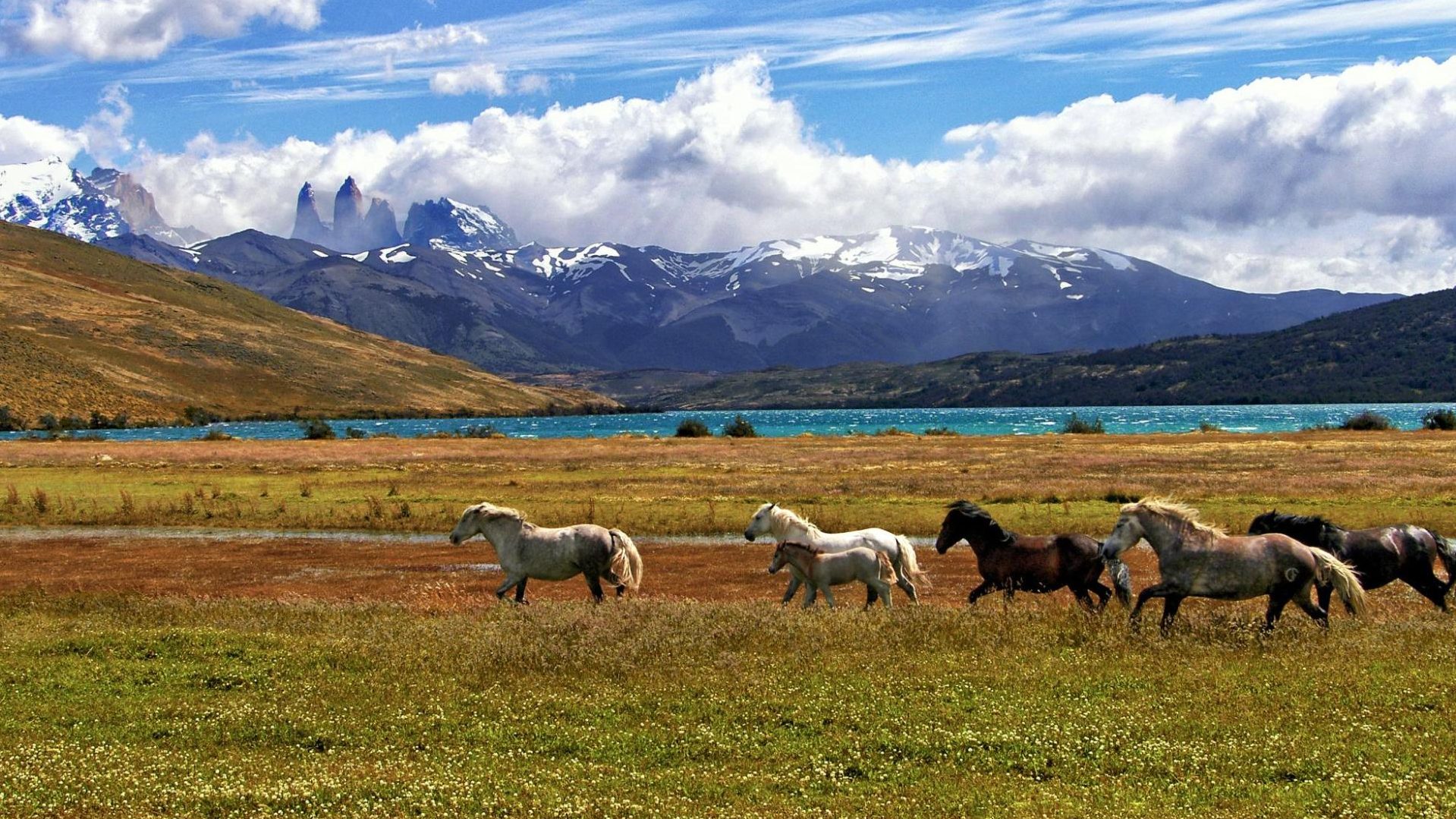 Patagonie en Argentine