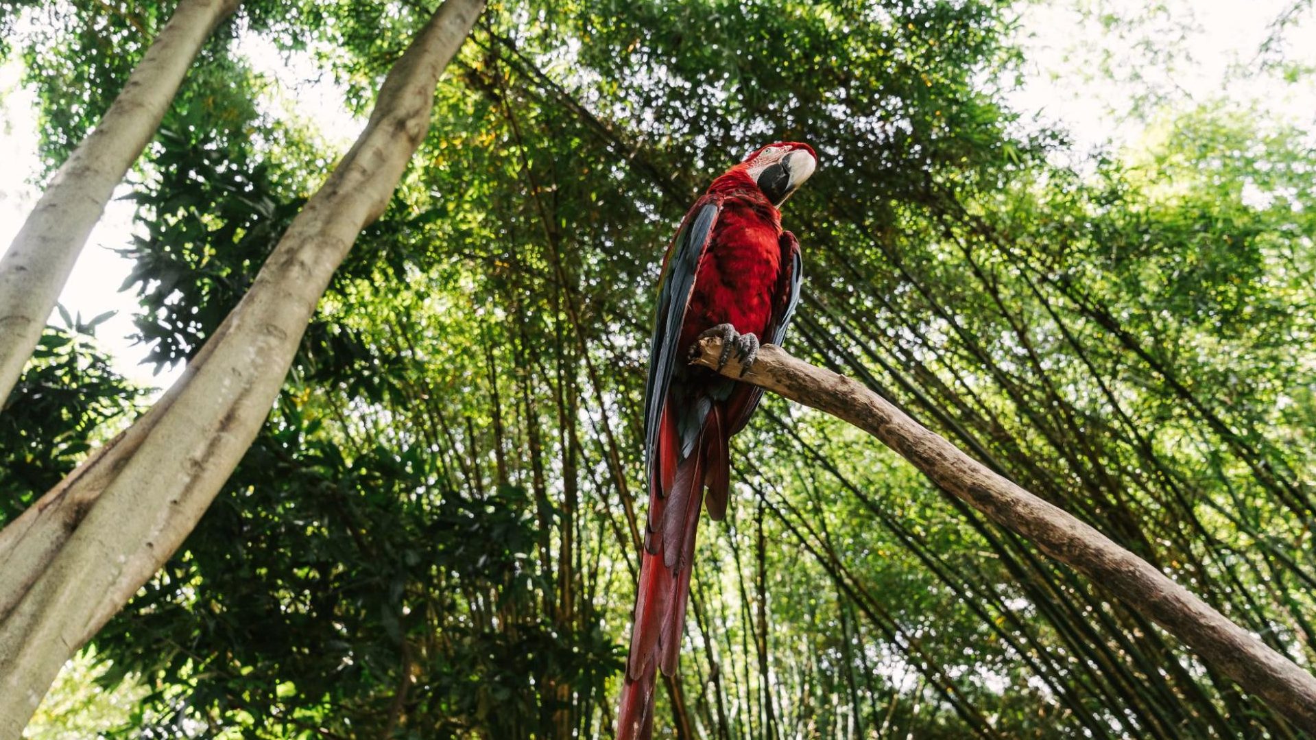 Itinéraire au Costa Rica