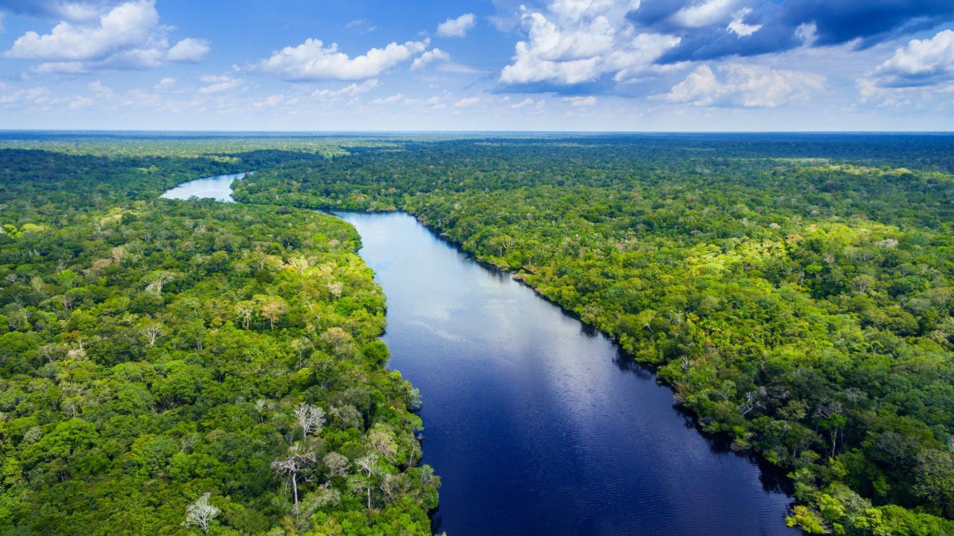 que faire en amazonie