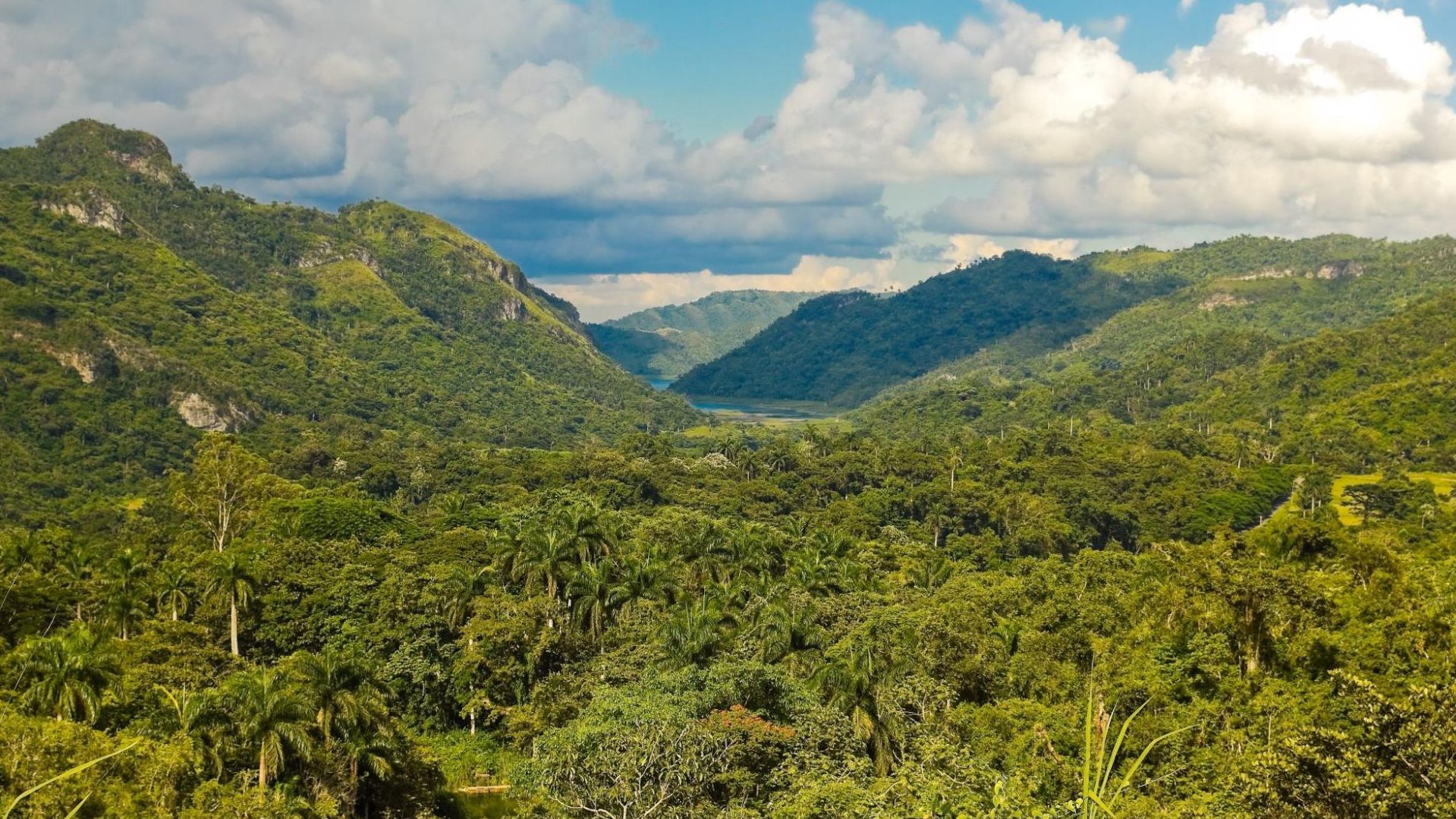 Excursion à Cuba