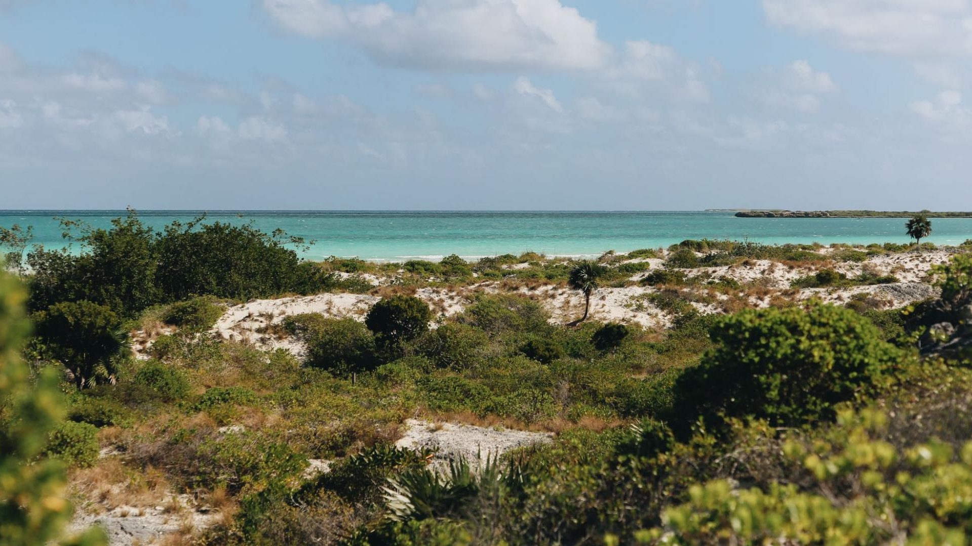 Excursion à Cuba