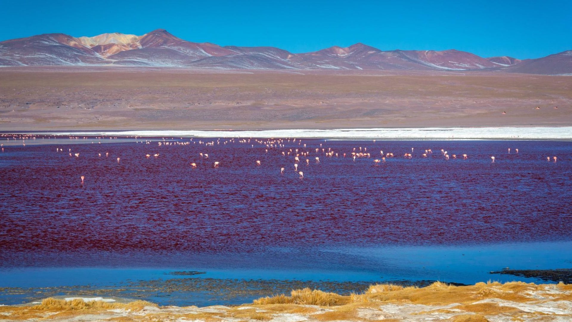 Salar d'Uyuni