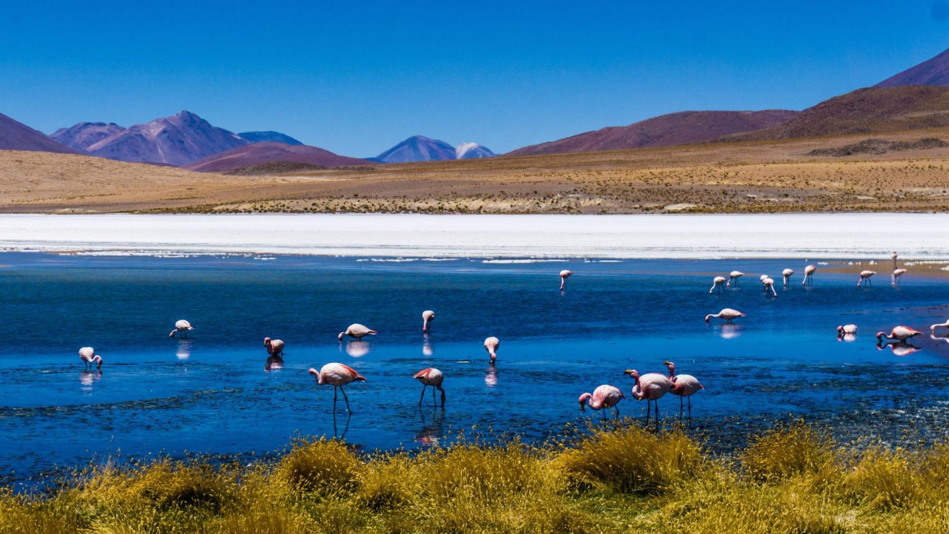 Salar d'Uyuni